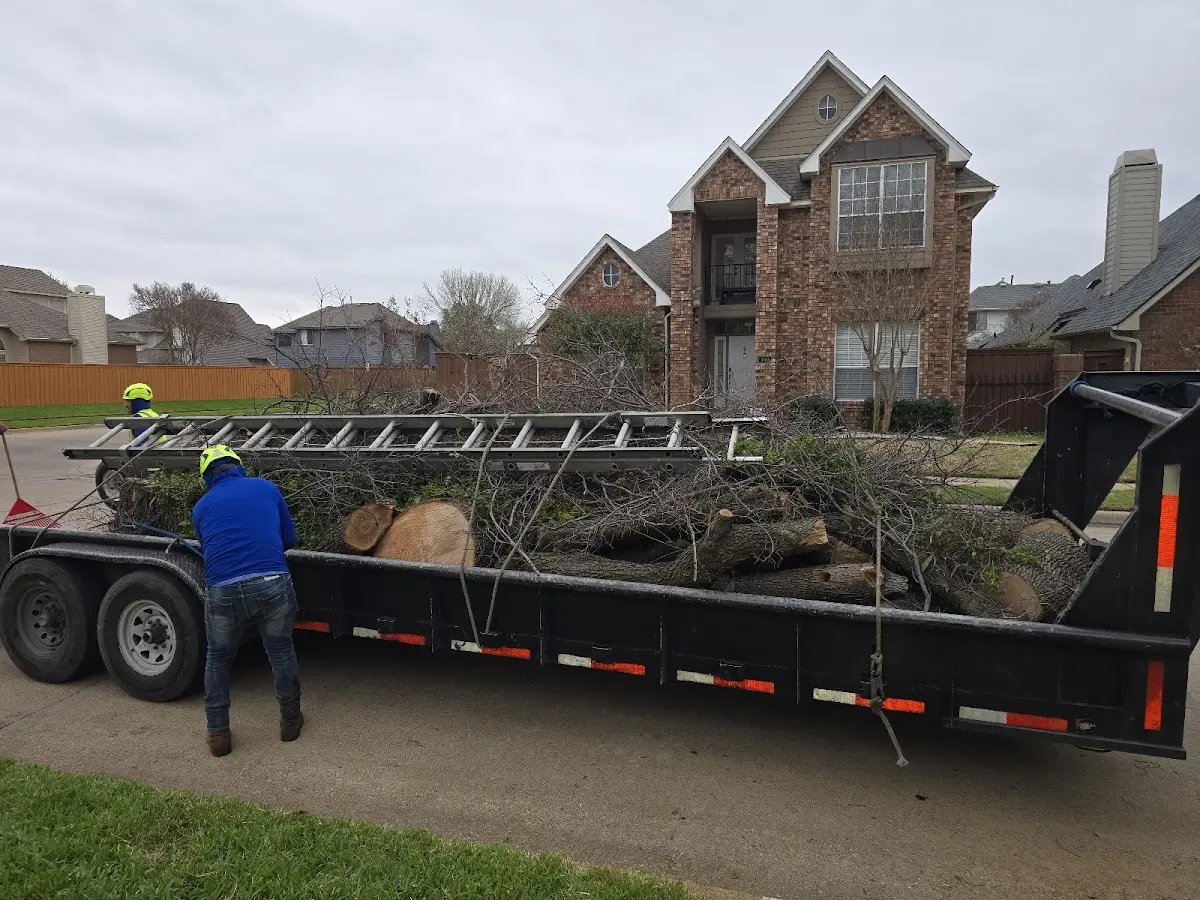 Expert Tree Fertilization with proper safety equipment in Youngtown